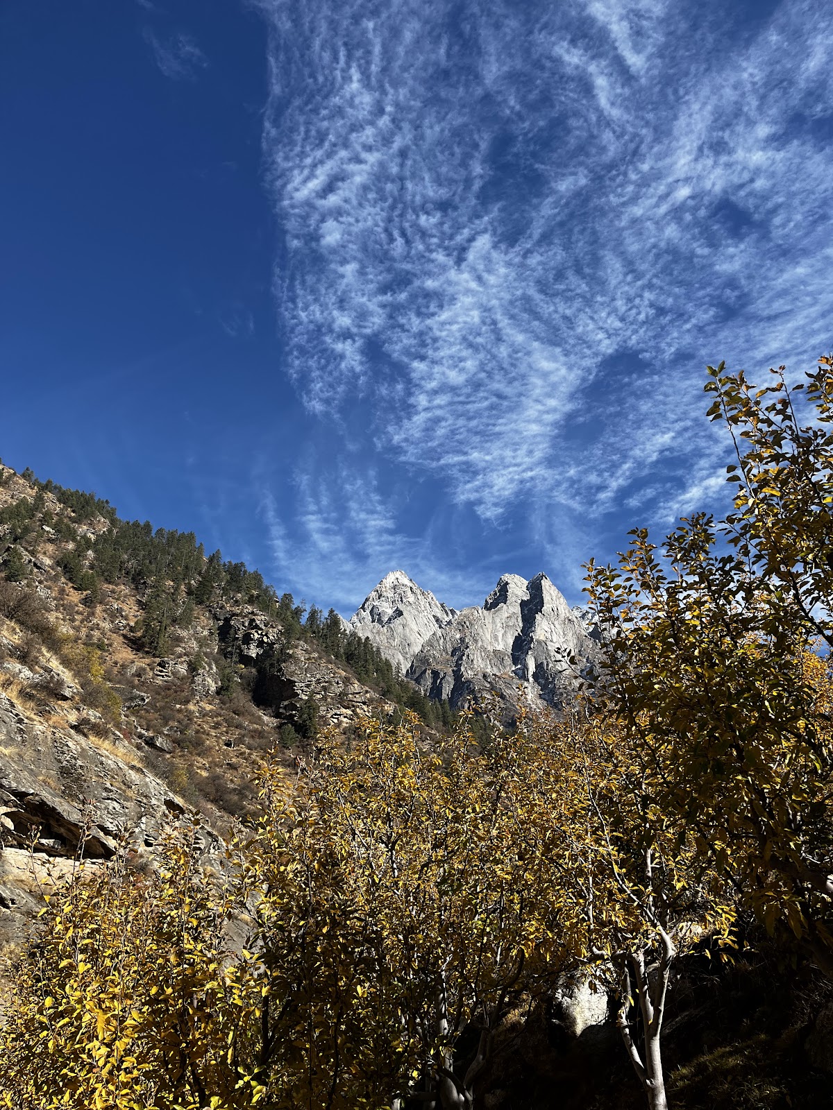 Sangla Wildlife Sanctuary