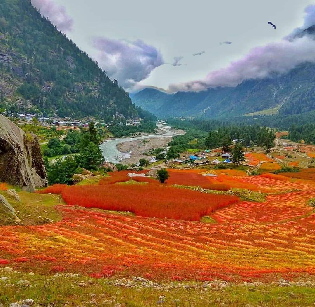 Sangla Wildlife Sanctuary