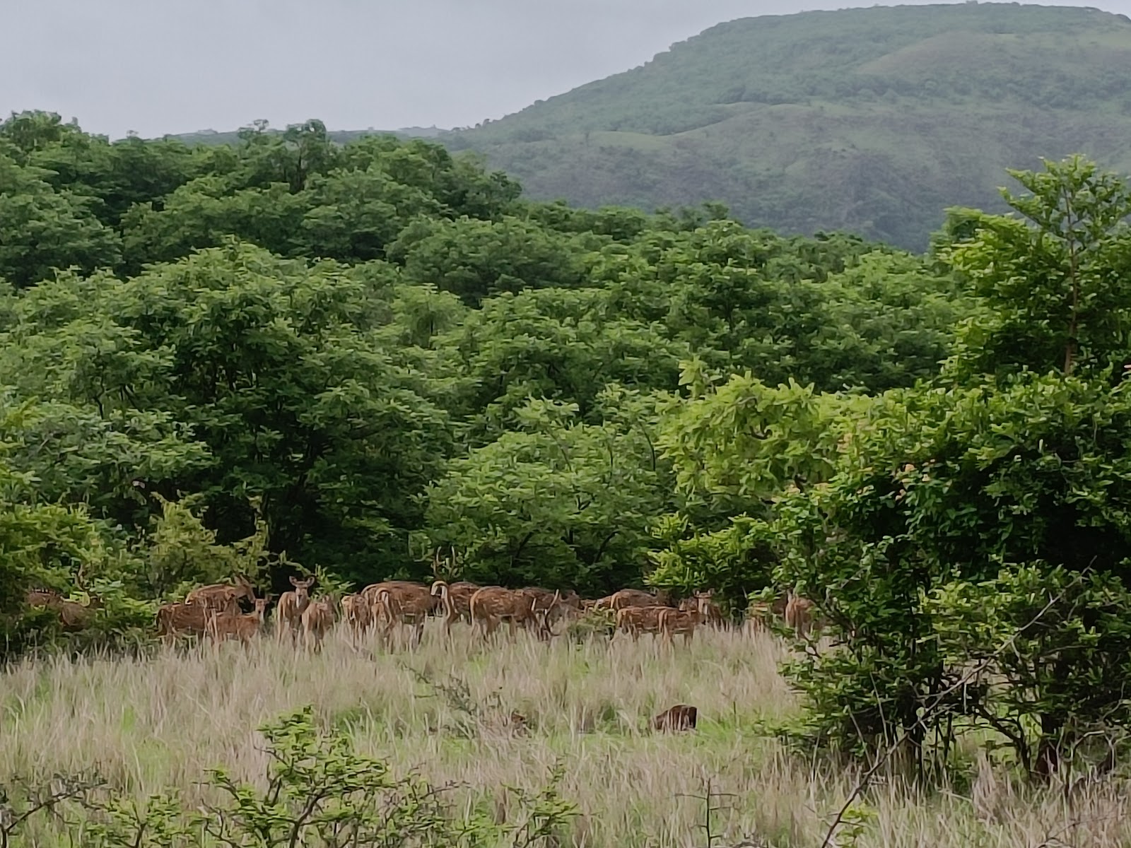 Sagareshwar Wildlife Sanctuary and Temple