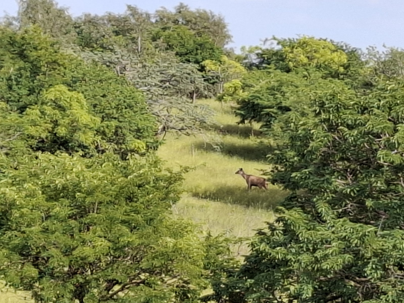 Sagareshwar Wildlife Sanctuary and Temple