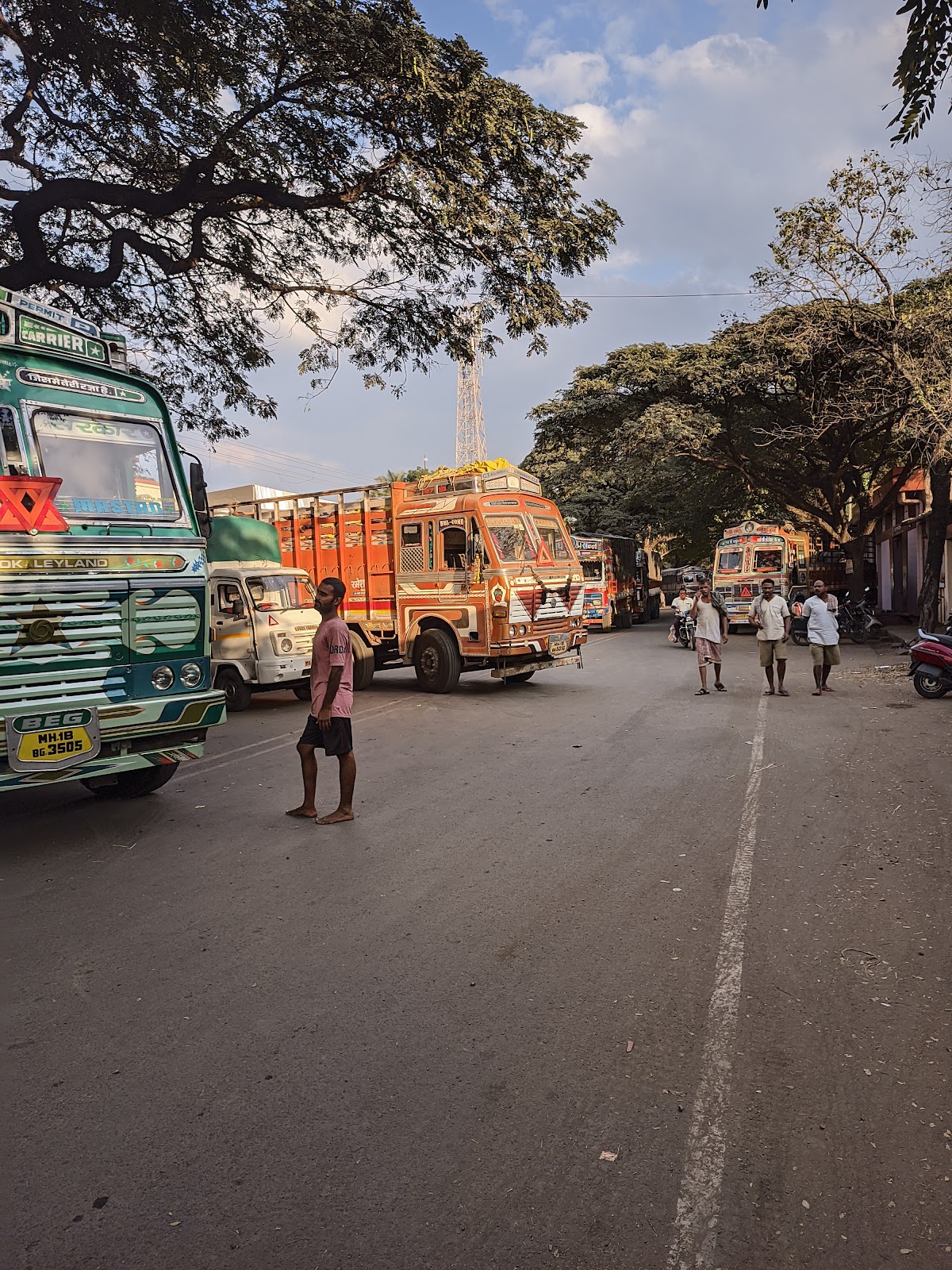 Sangli Turmeric Market