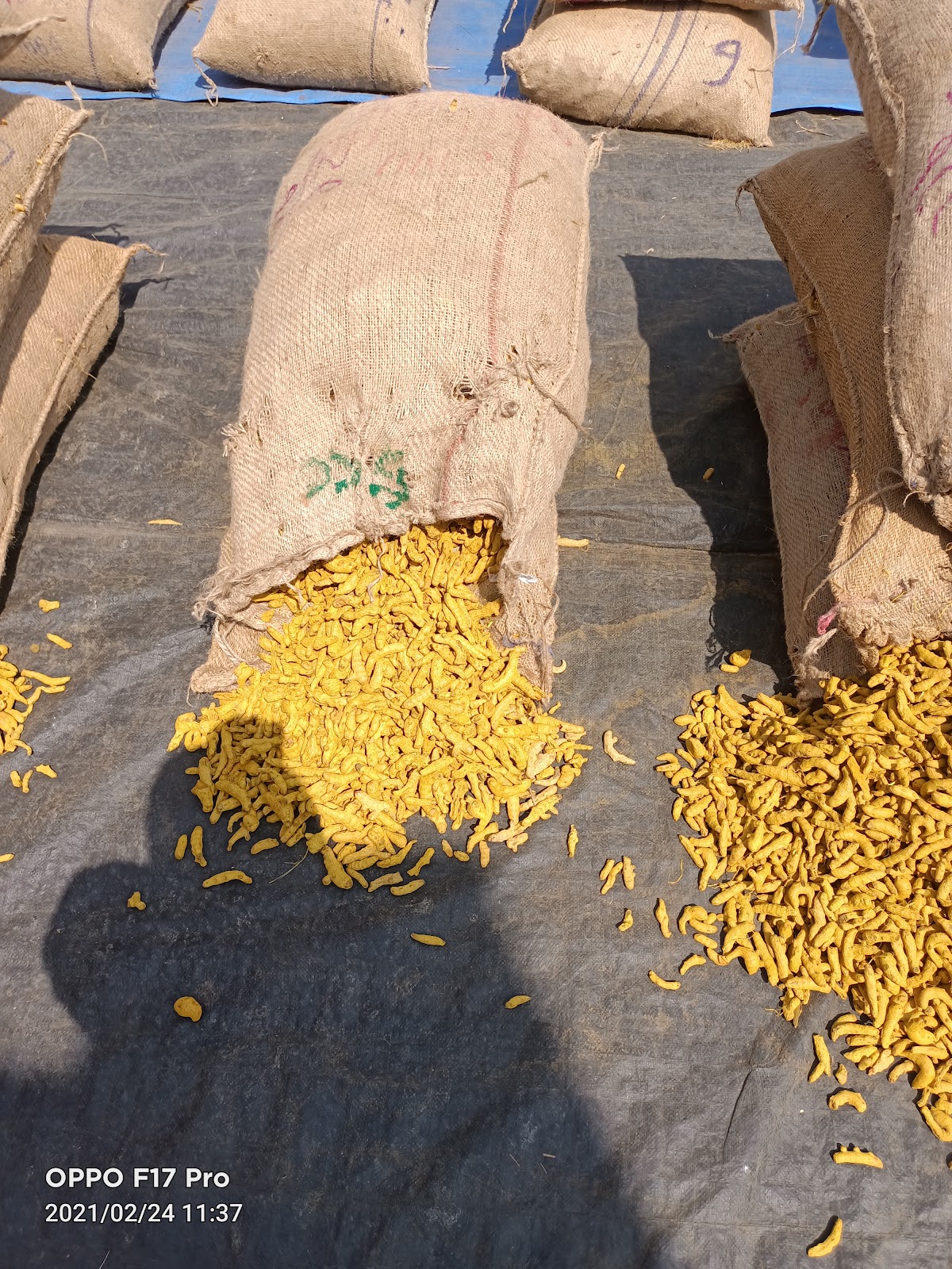 Sangli Turmeric Market