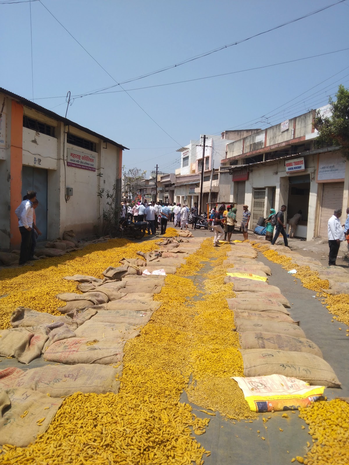 Sangli Turmeric Market