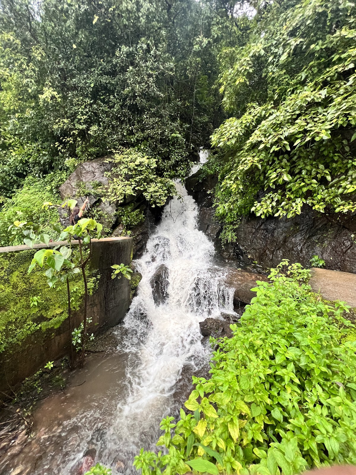 Anmod Ghat Scenic Drive