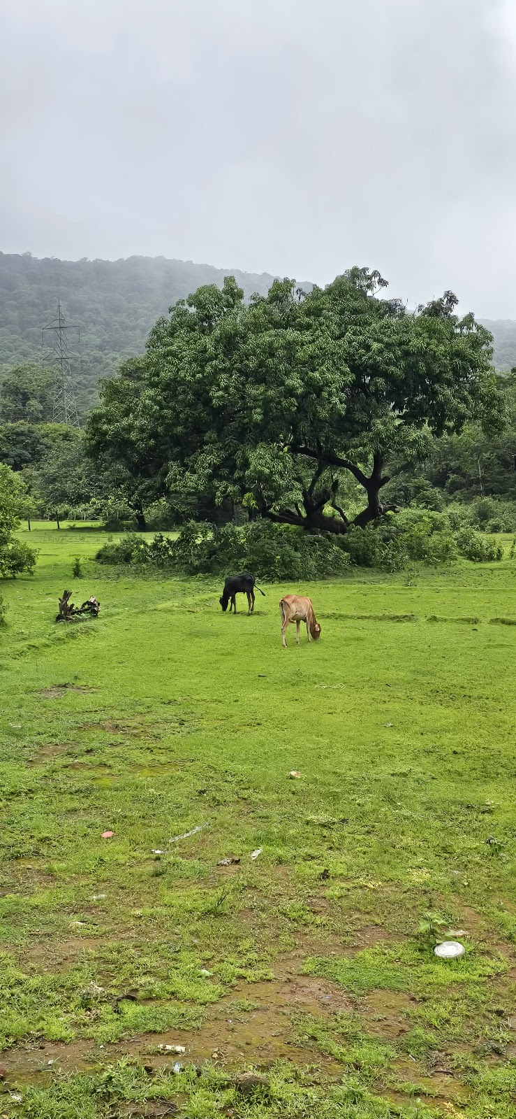Anmod Ghat Scenic Drive