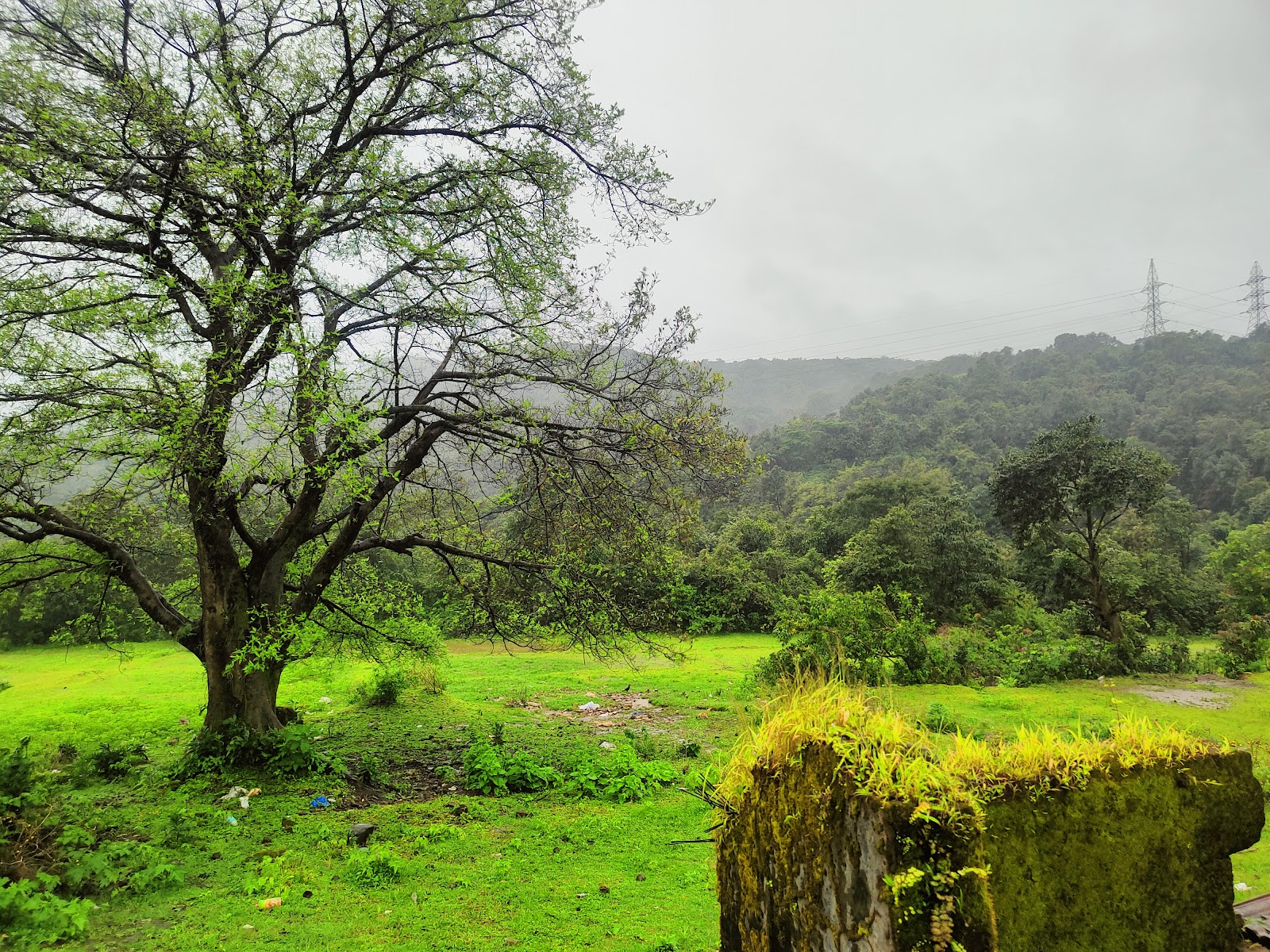 Anmod Ghat Scenic Drive