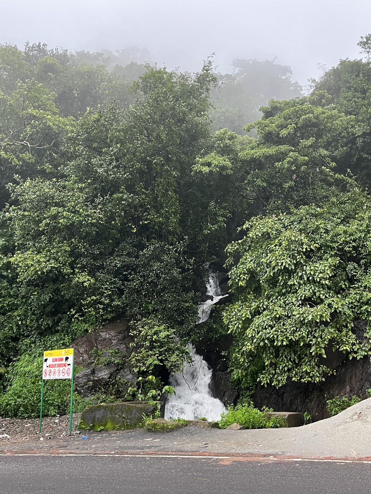 Anmod Ghat Scenic Drive