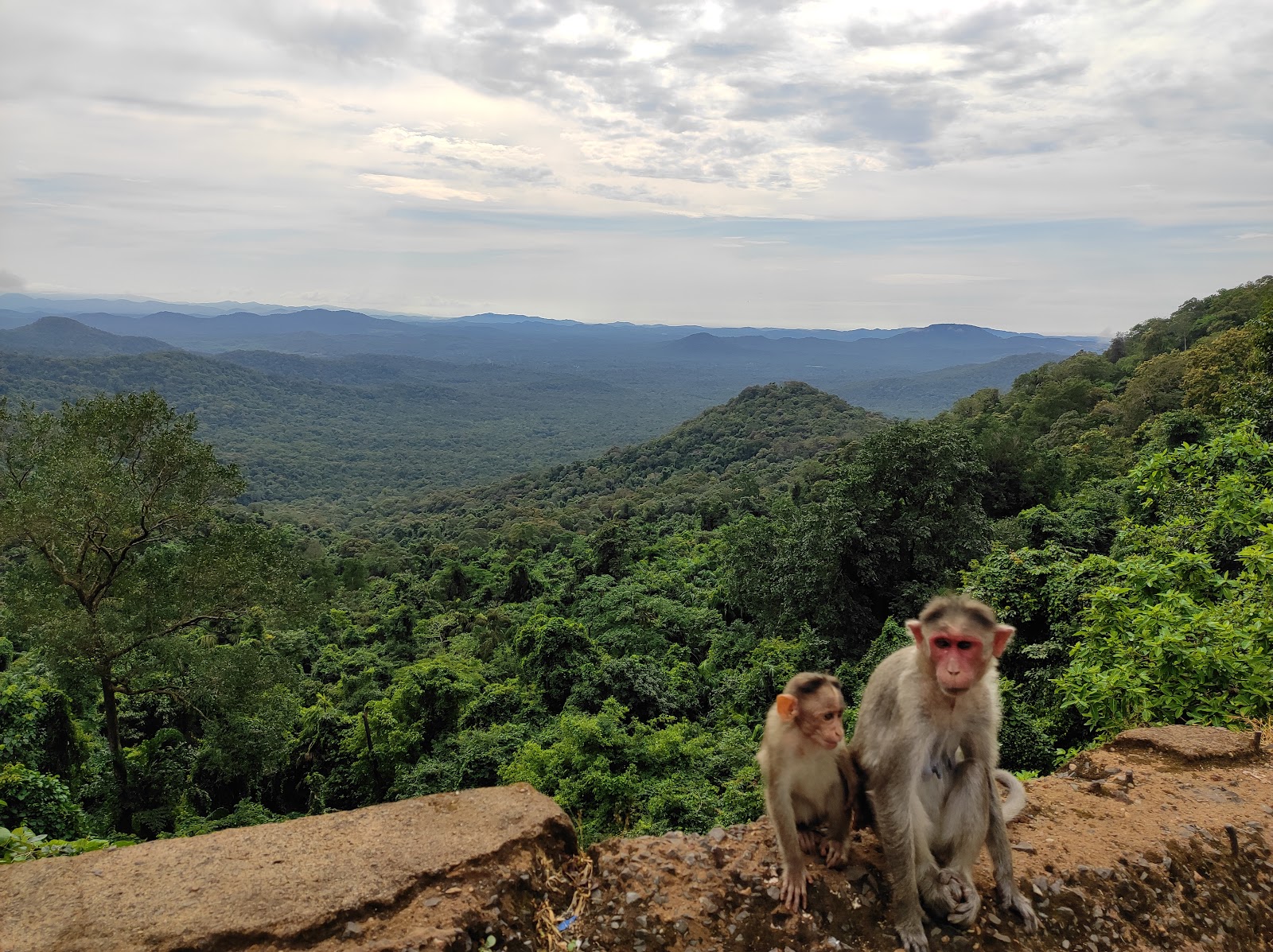 Anmod Ghat Scenic Drive