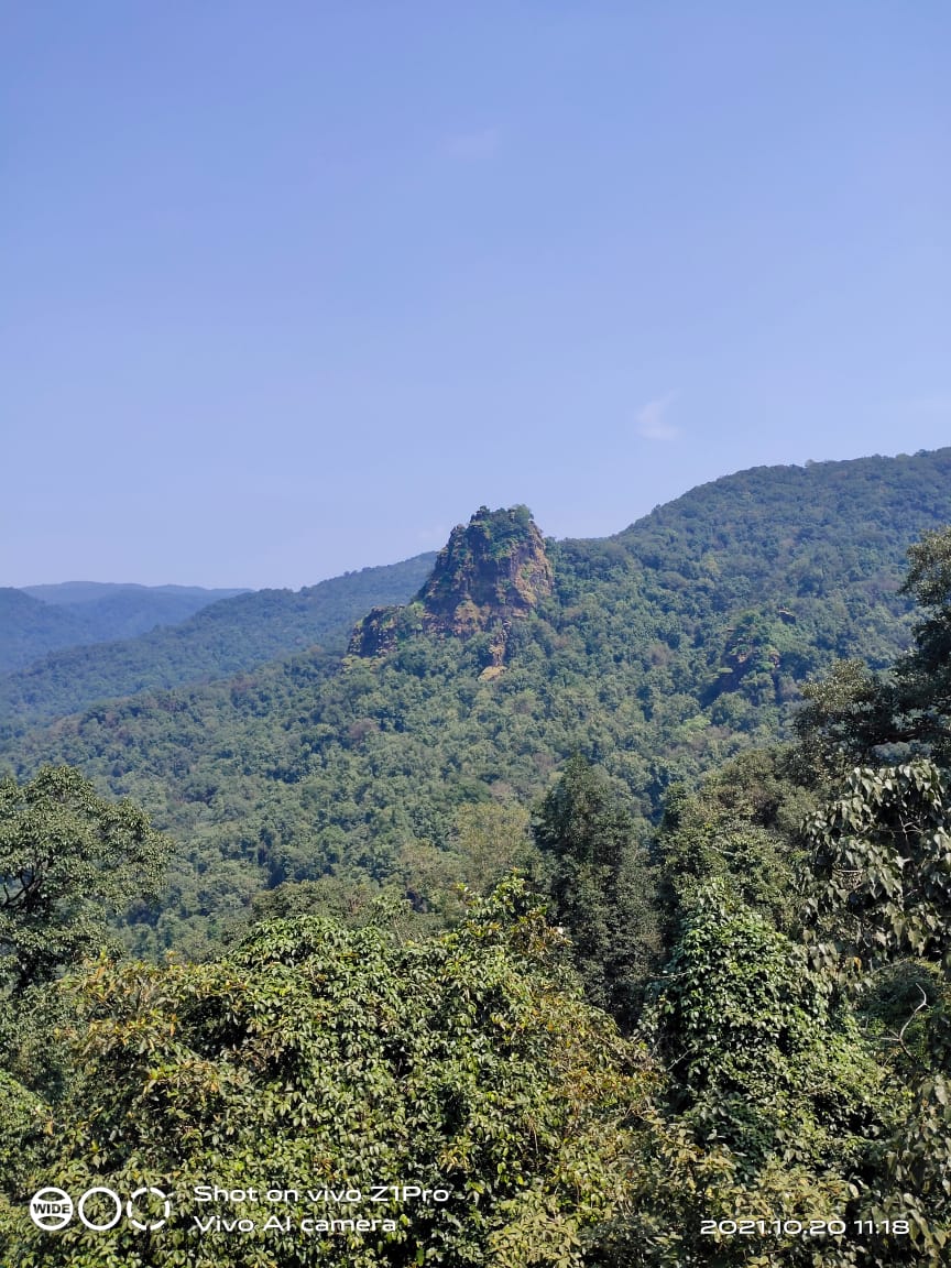 Dudhsagar Railway Bridge Viewpoint