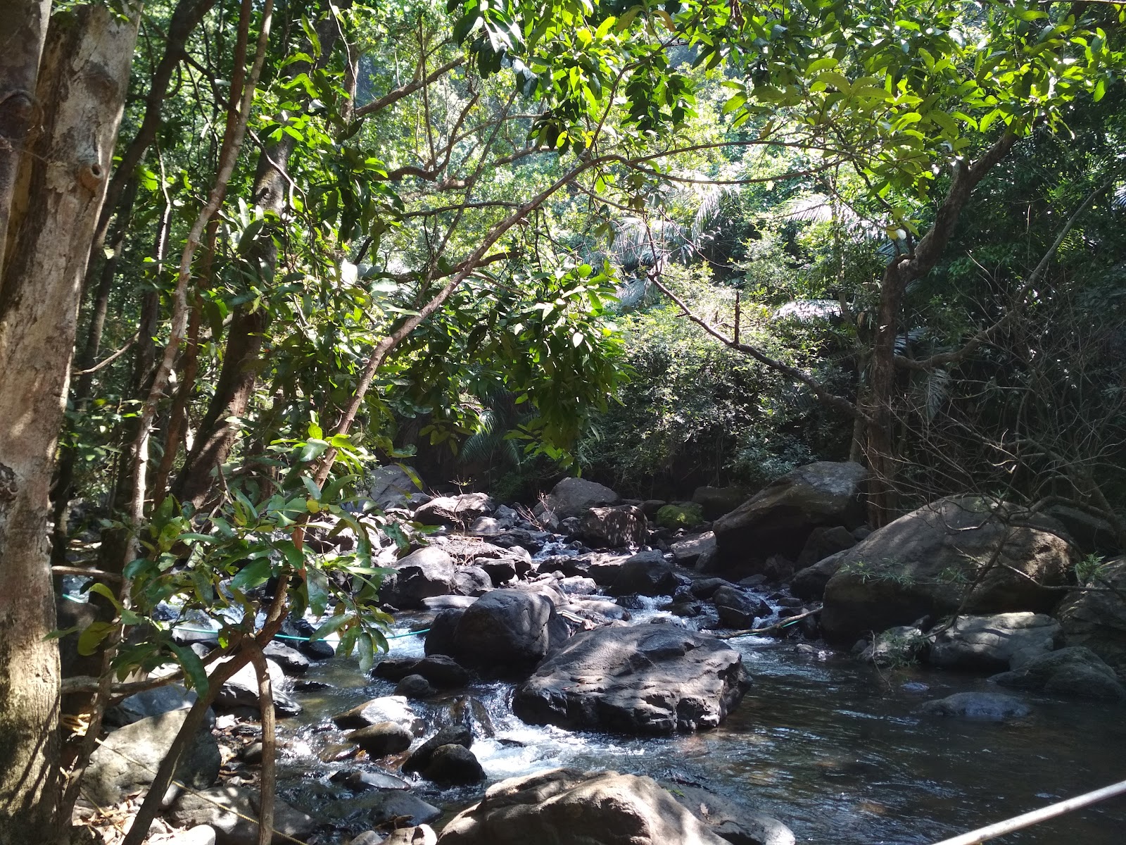 Dudhsagar Waterfalls
