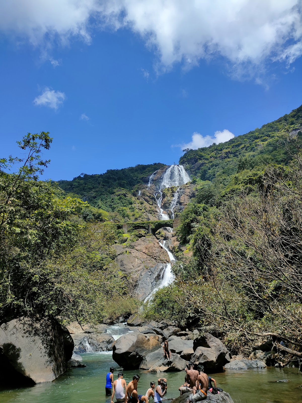 Bhagwan Mahaveer Sanctuary and Mollem National Park