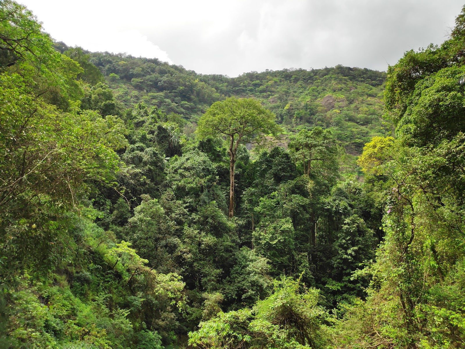 Mollem Waterfalls and Streams