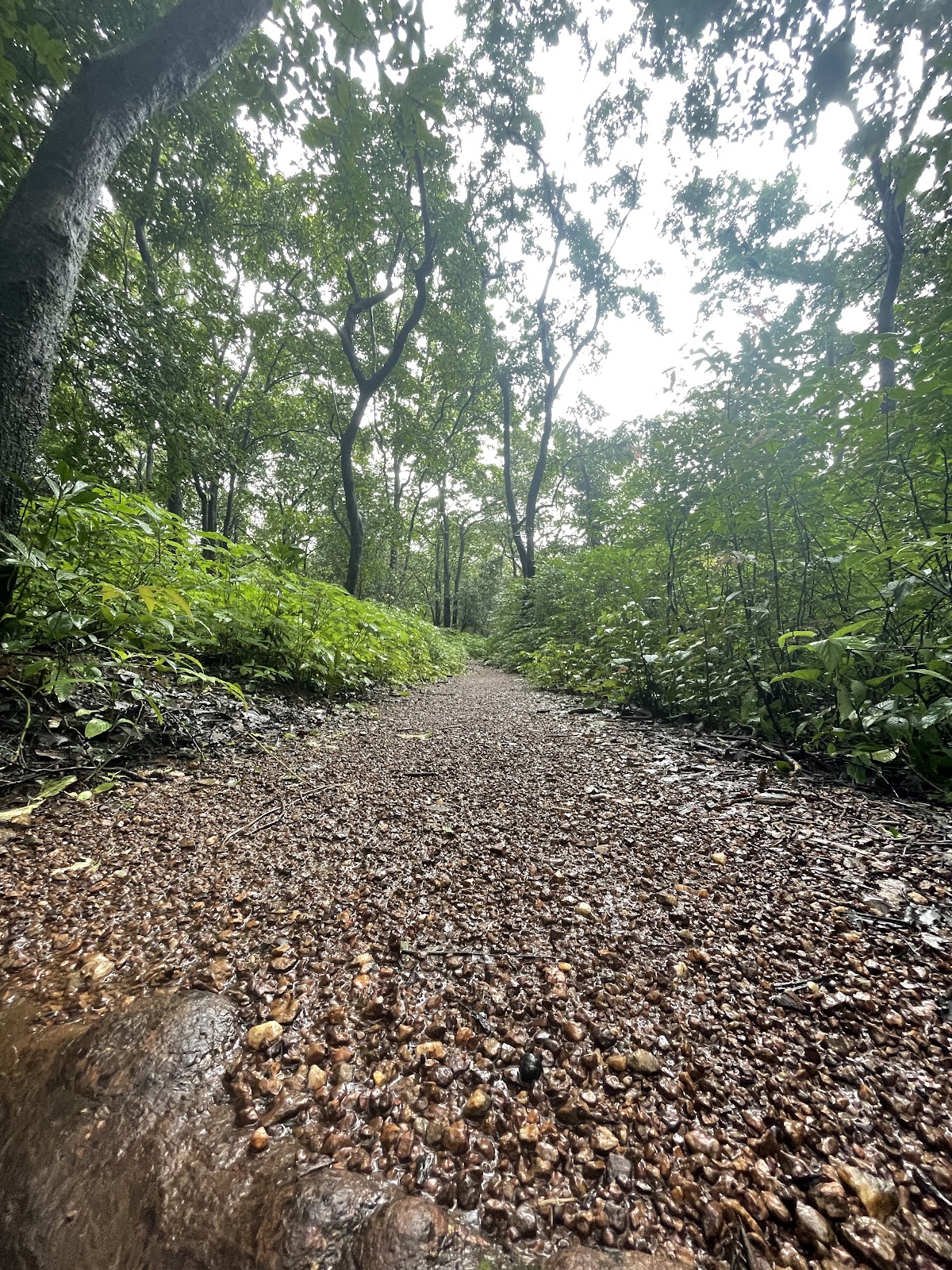 Mollem Waterfalls and Streams