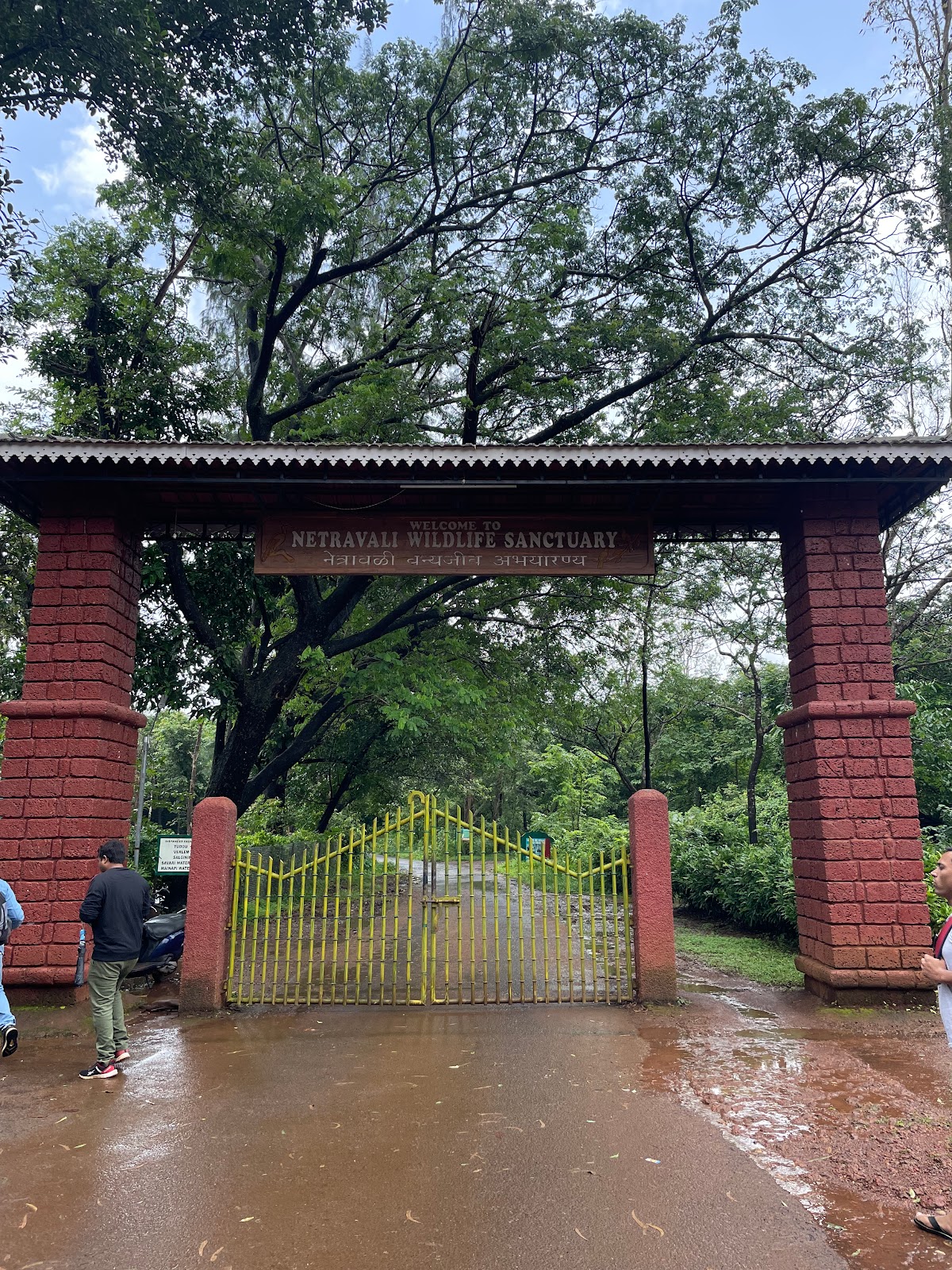 Netravali Wildlife Sanctuary (nearby)