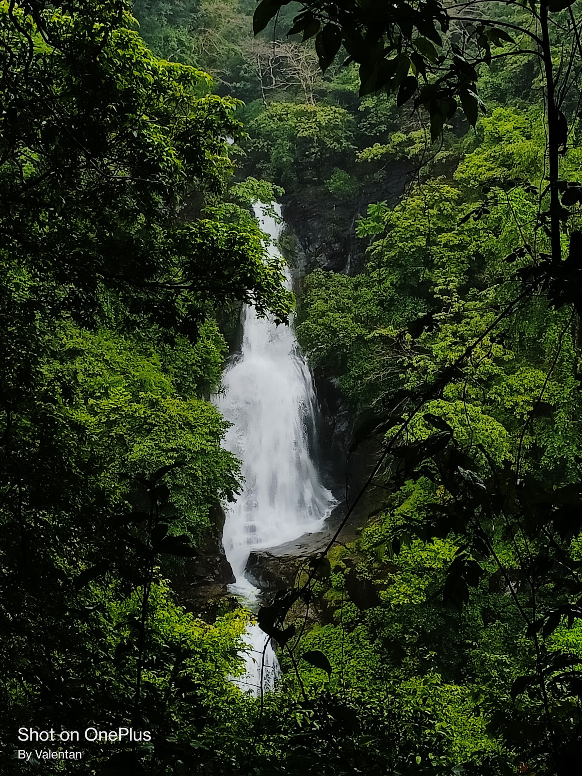 Netravali Wildlife Sanctuary (nearby)