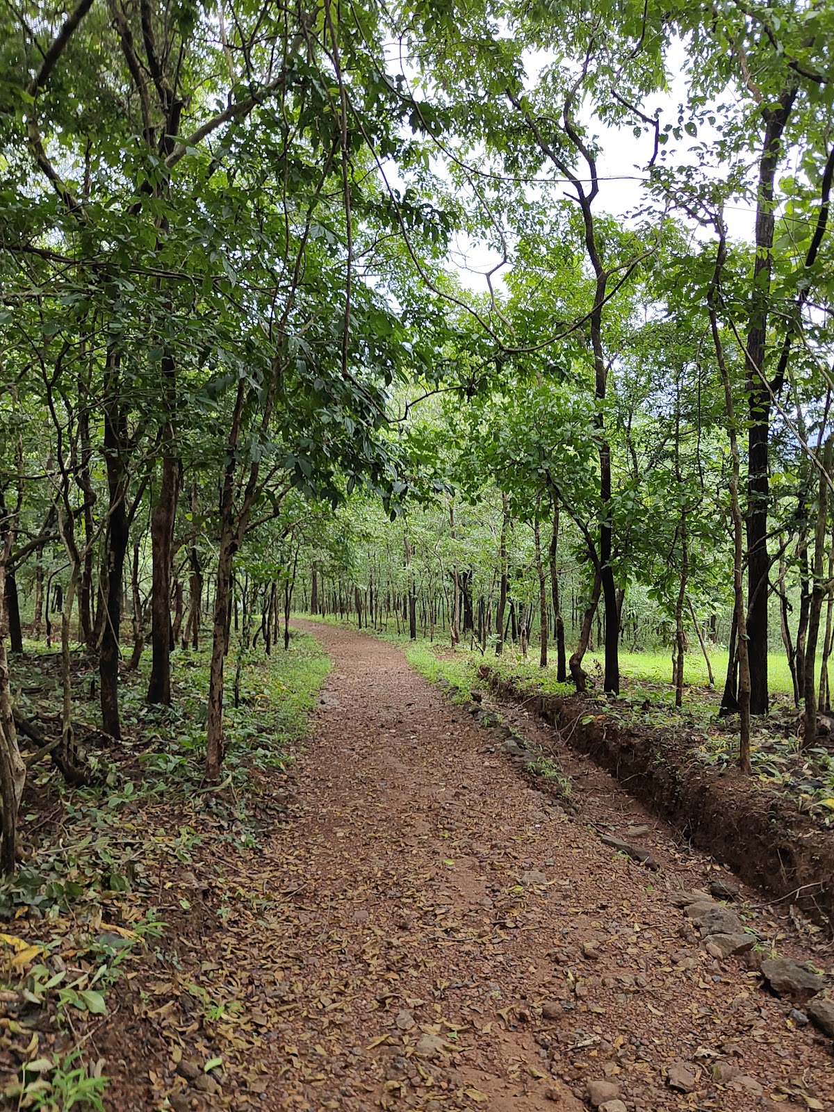 Netravali Wildlife Sanctuary (nearby)