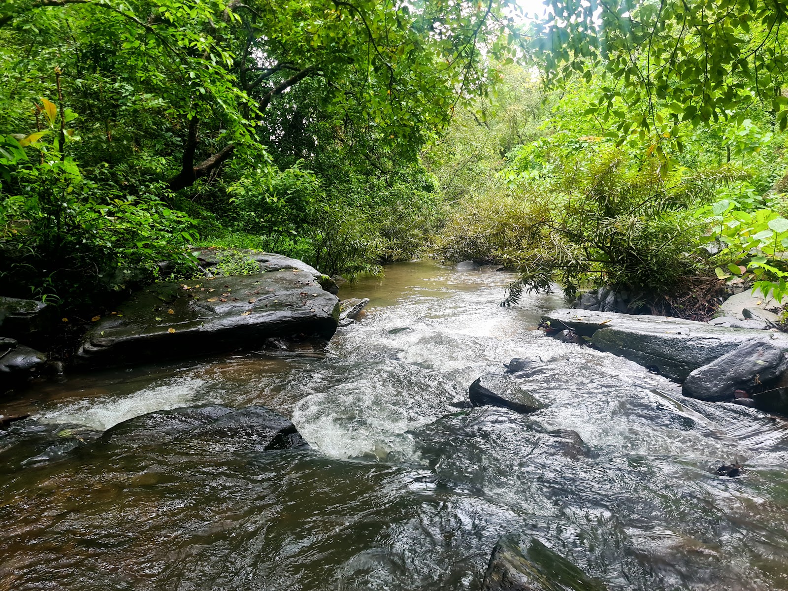 Netravali Wildlife Sanctuary (nearby)