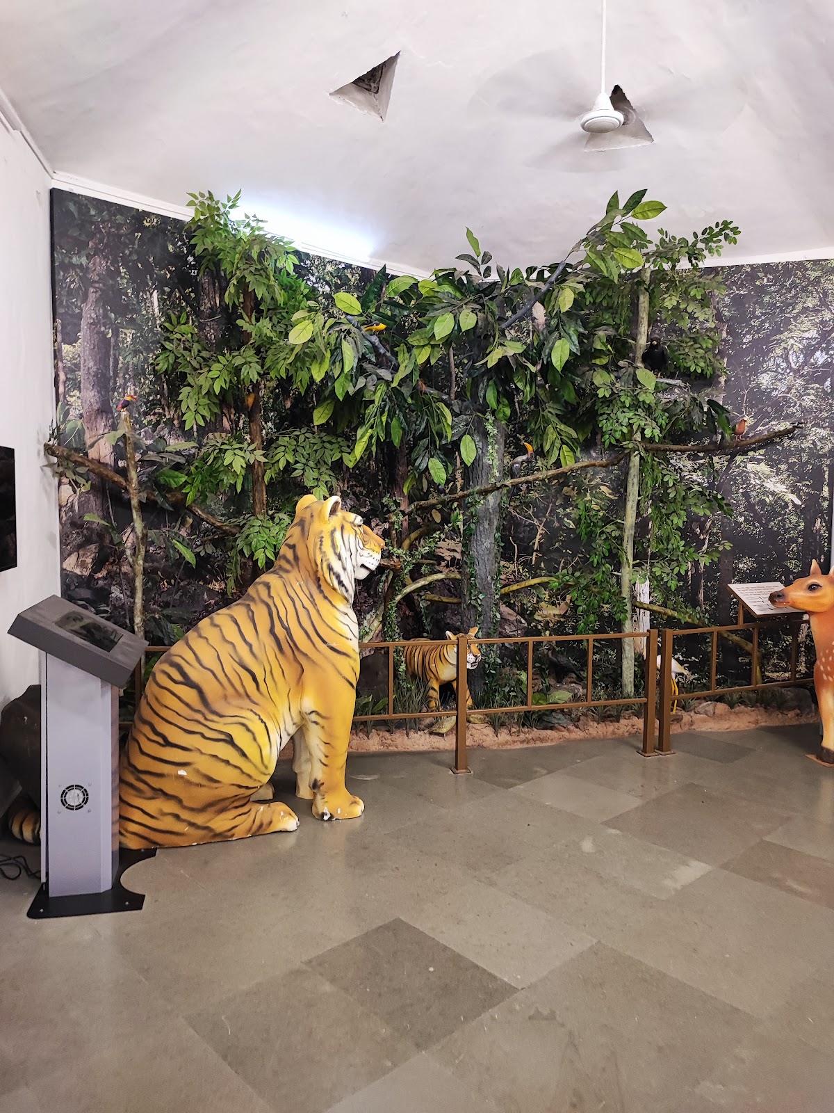 Forest Interpretation Centre