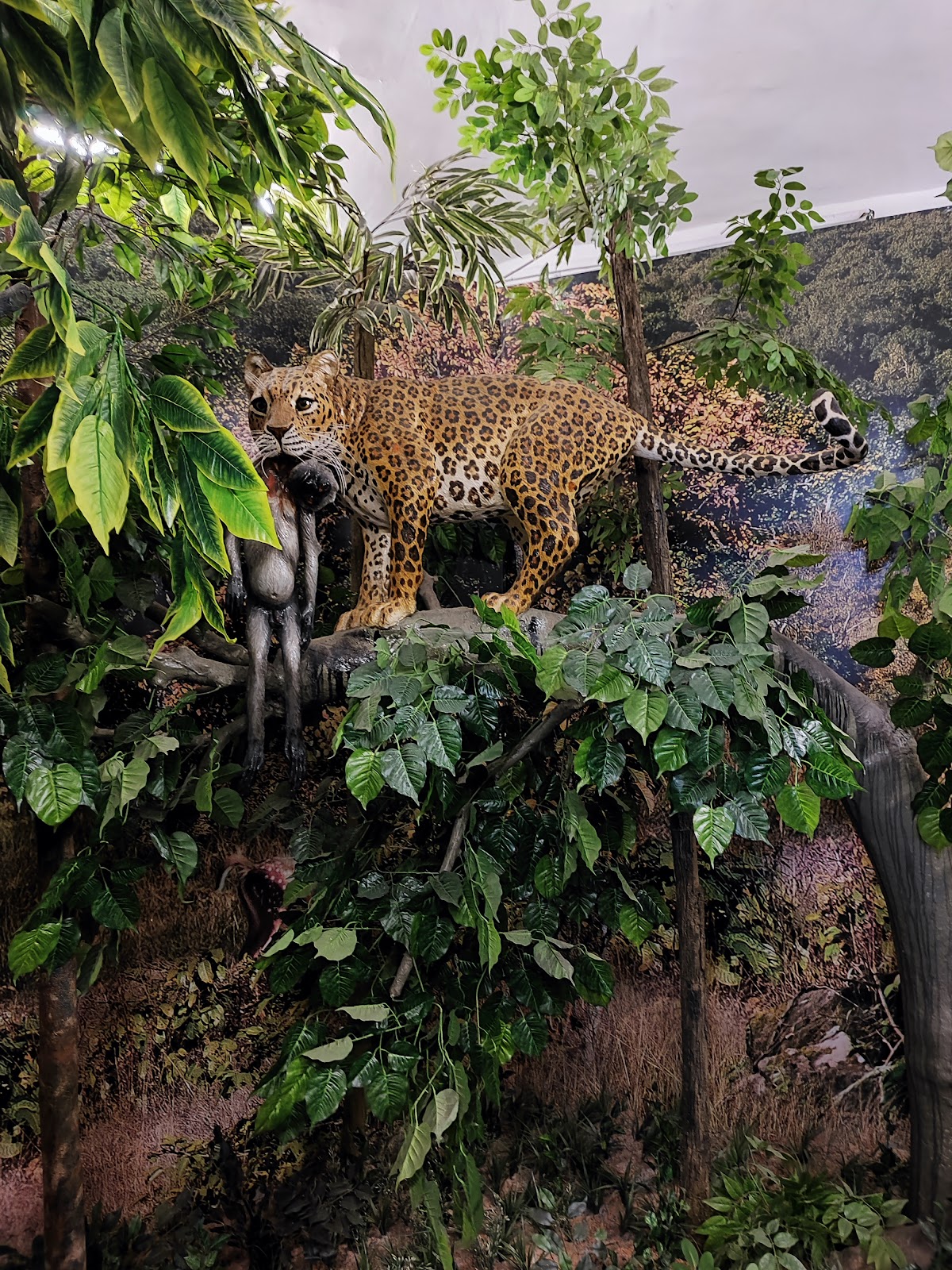 Forest Interpretation Centre