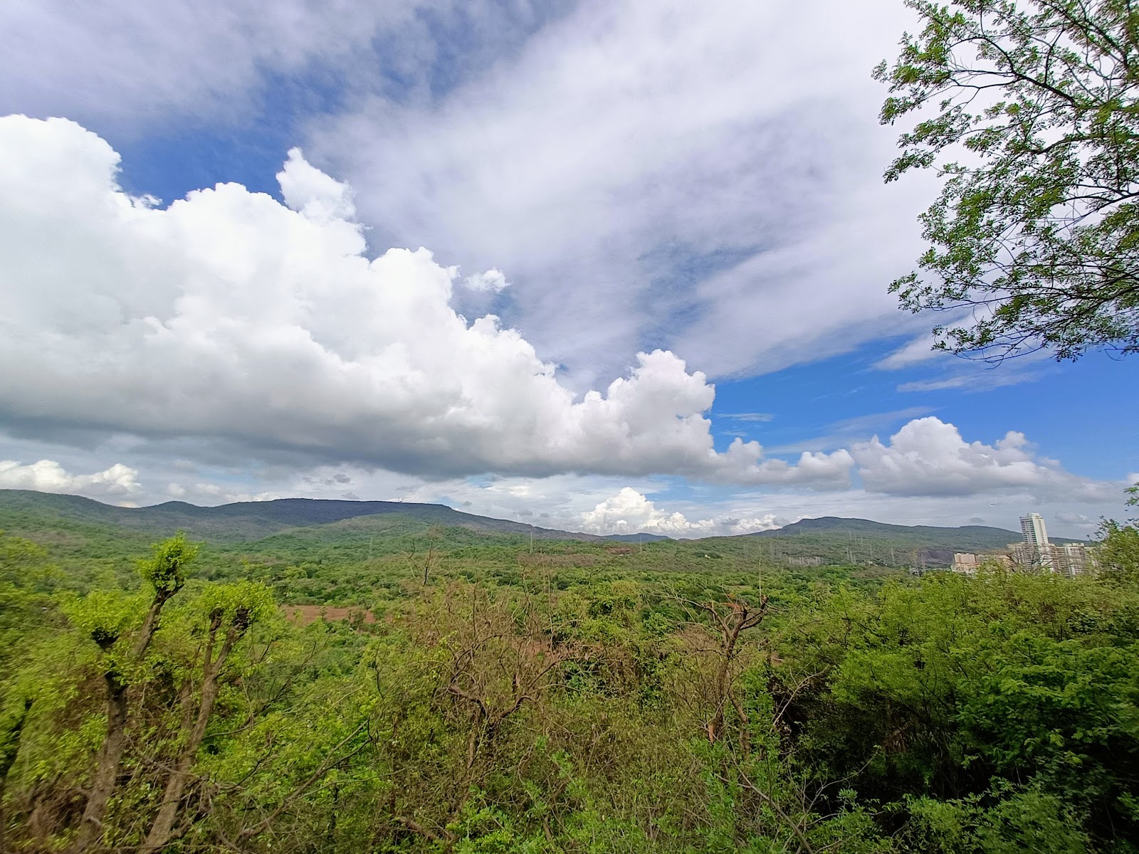 Sanjay Gandhi National Park Main Zone