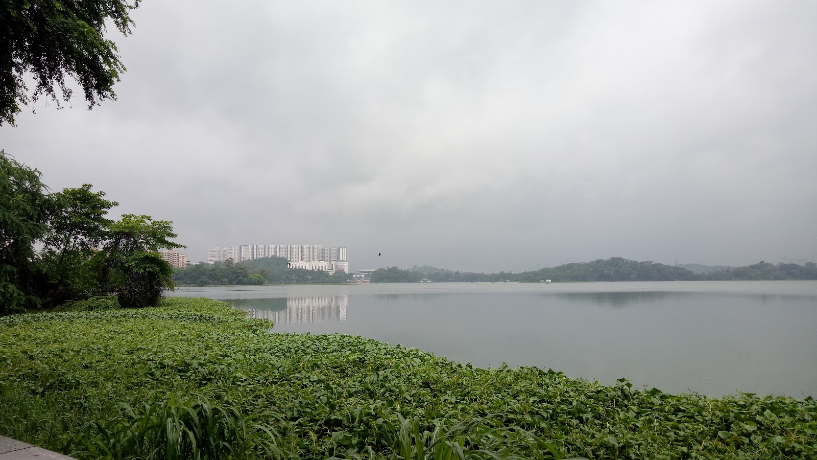Vihar Lake