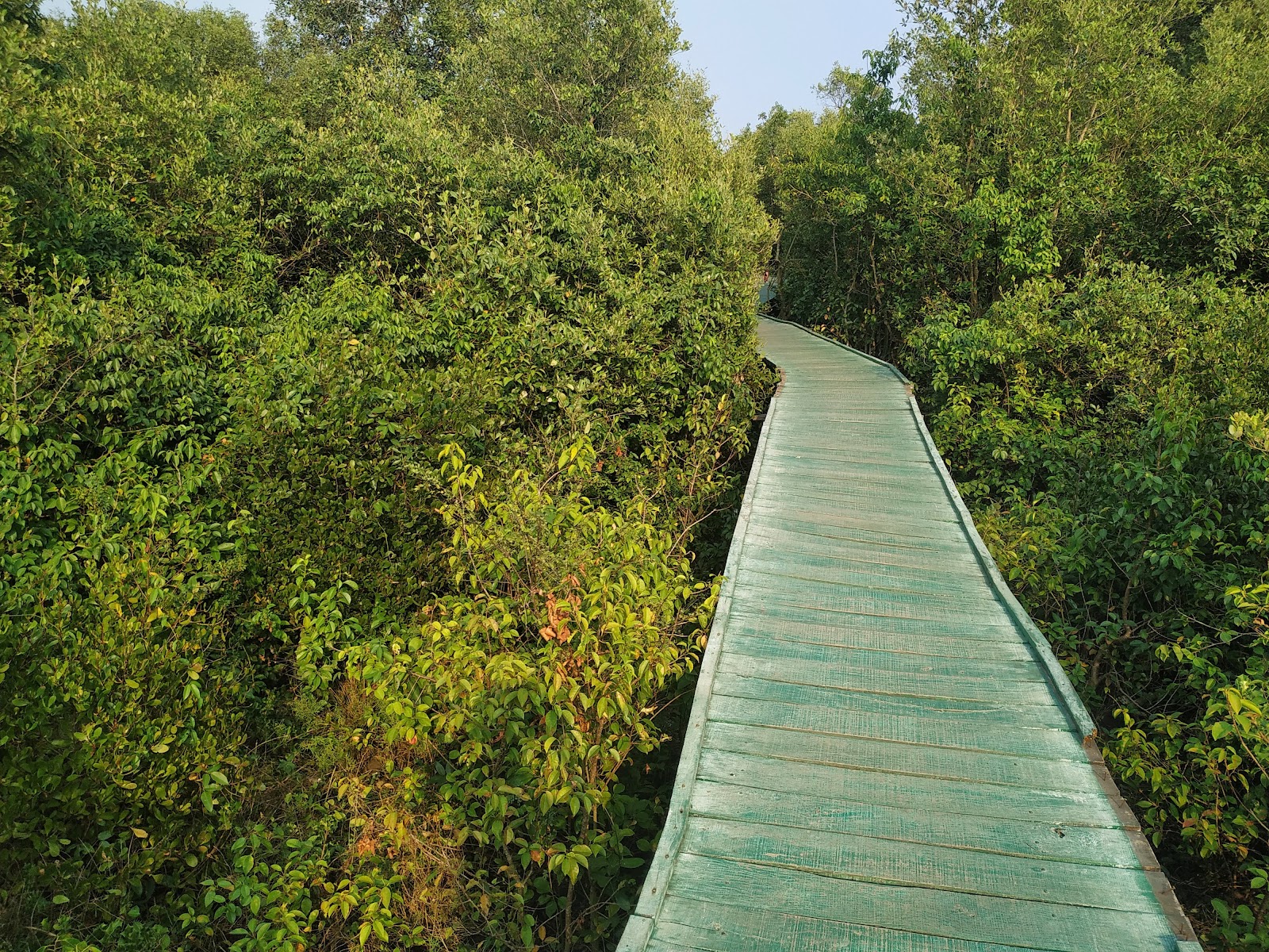 Coringa Wildlife Sanctuary