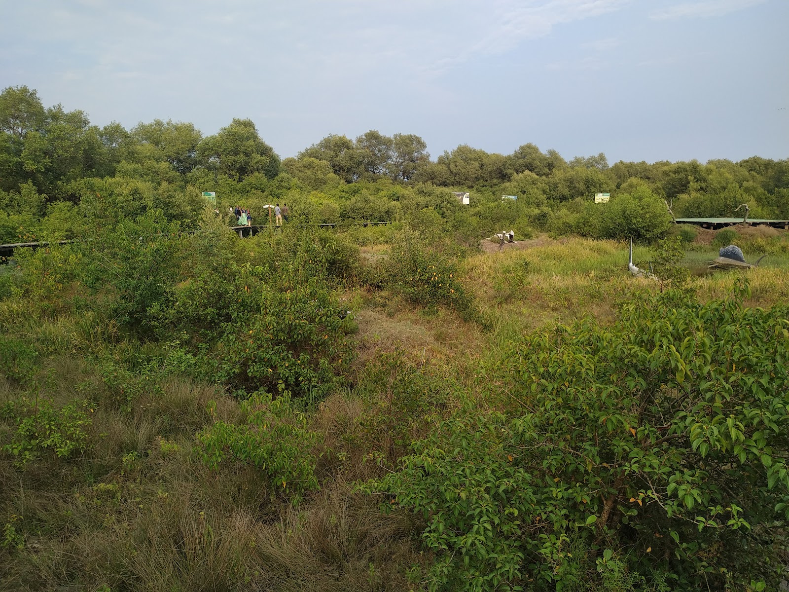 Coringa Wildlife Sanctuary