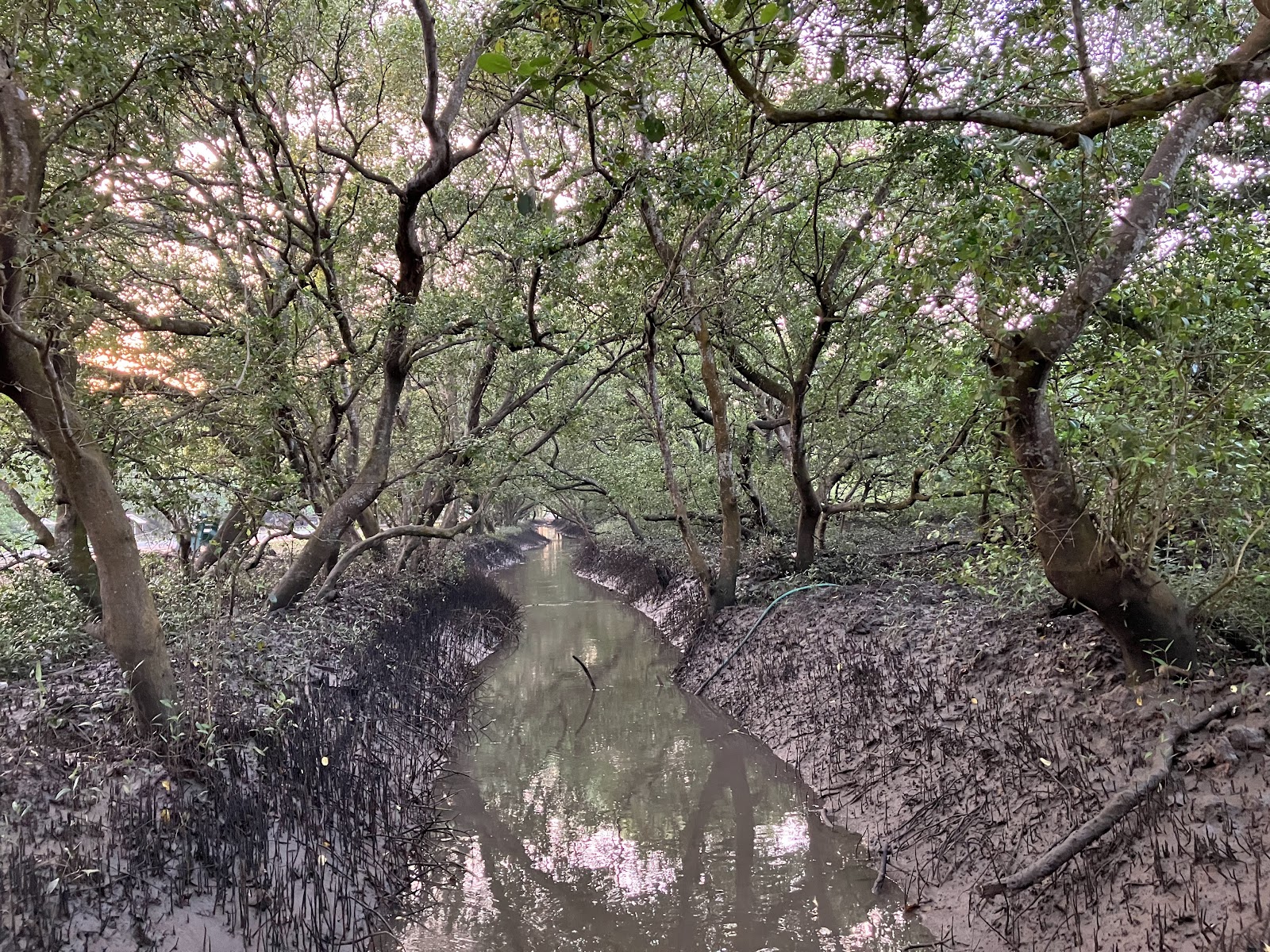 Coringa Wildlife Sanctuary