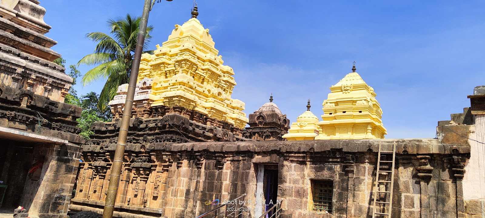 Local Markets of Samalkot