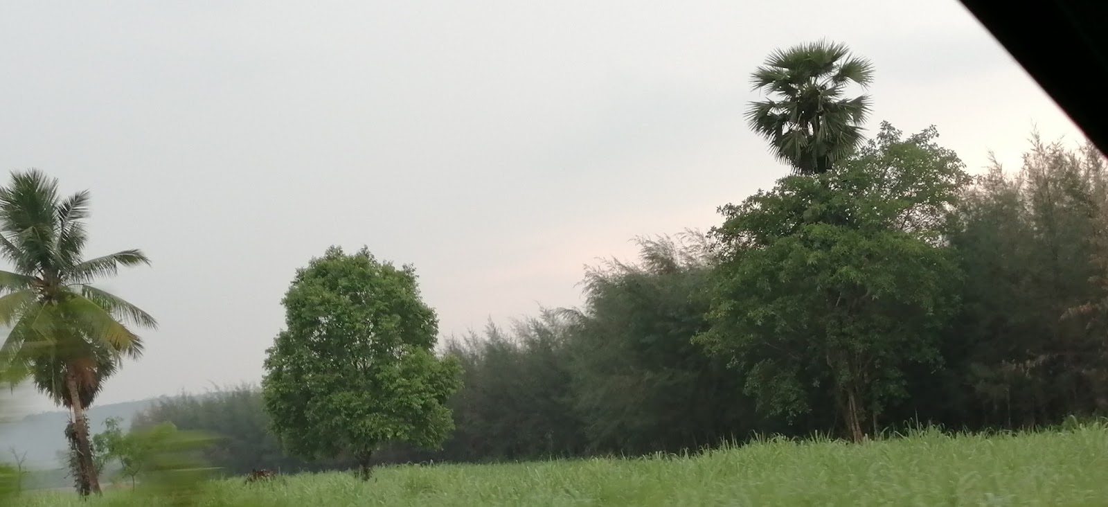 Sankhavaram Village Walk