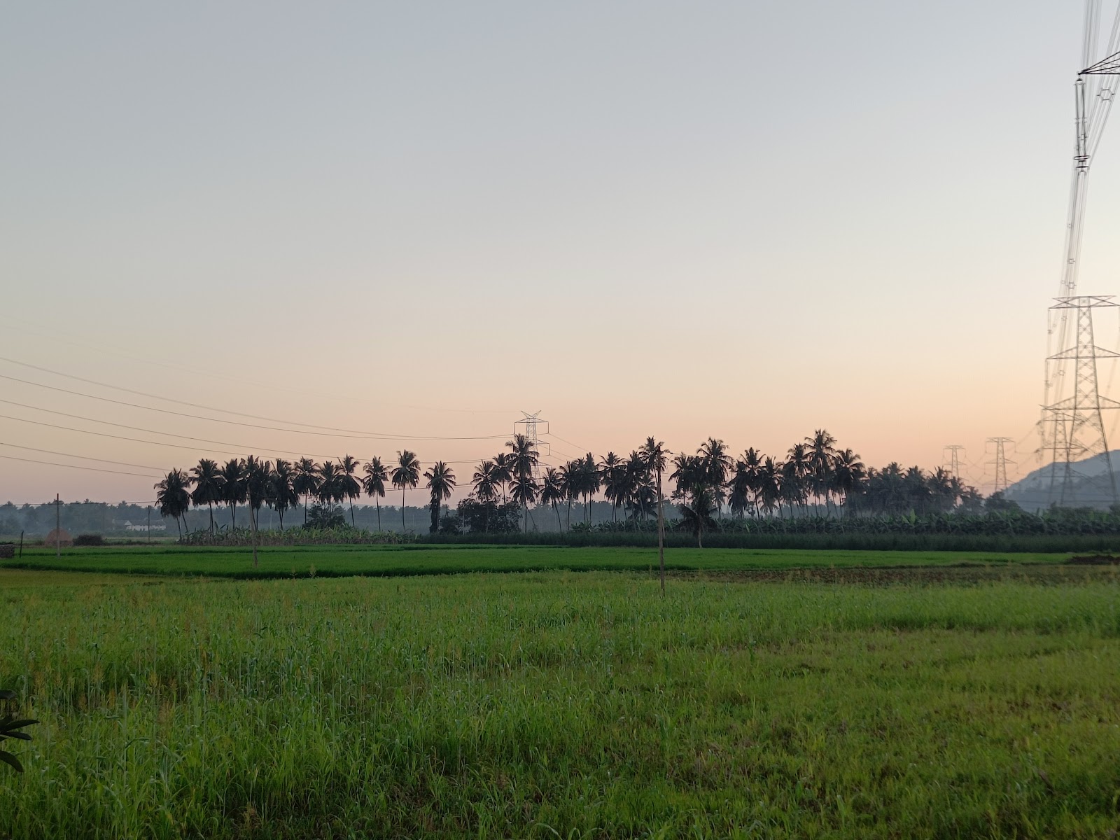 Sankhavaram Village Walk