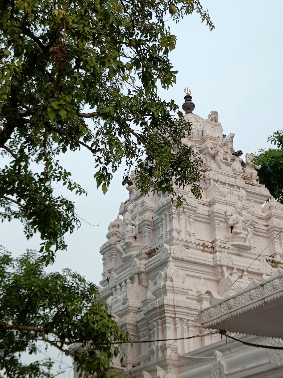 Sankhavaram Village Walk