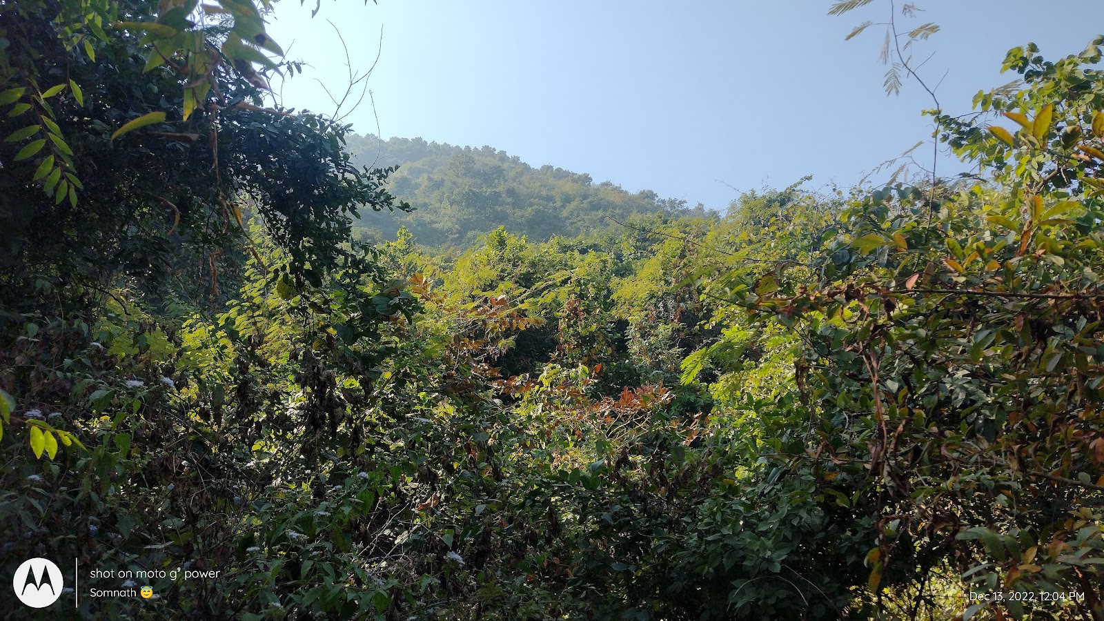 Biharinath Hill