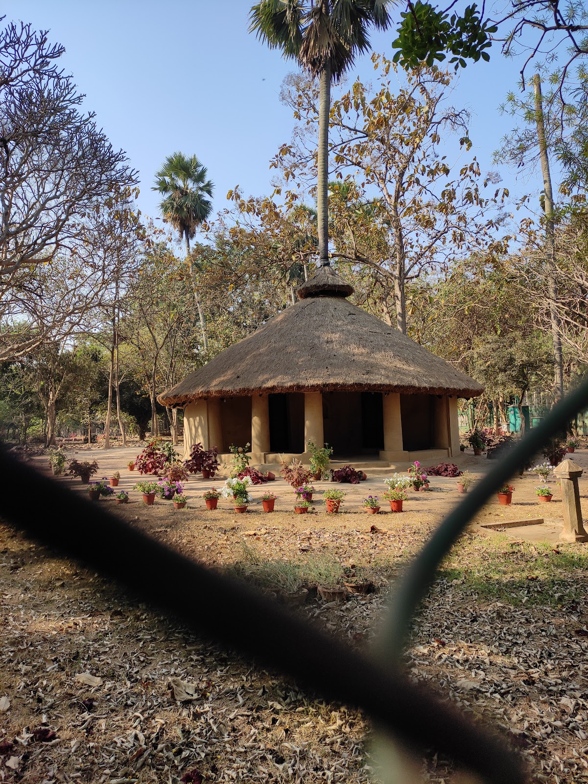 Visva-Bharati University