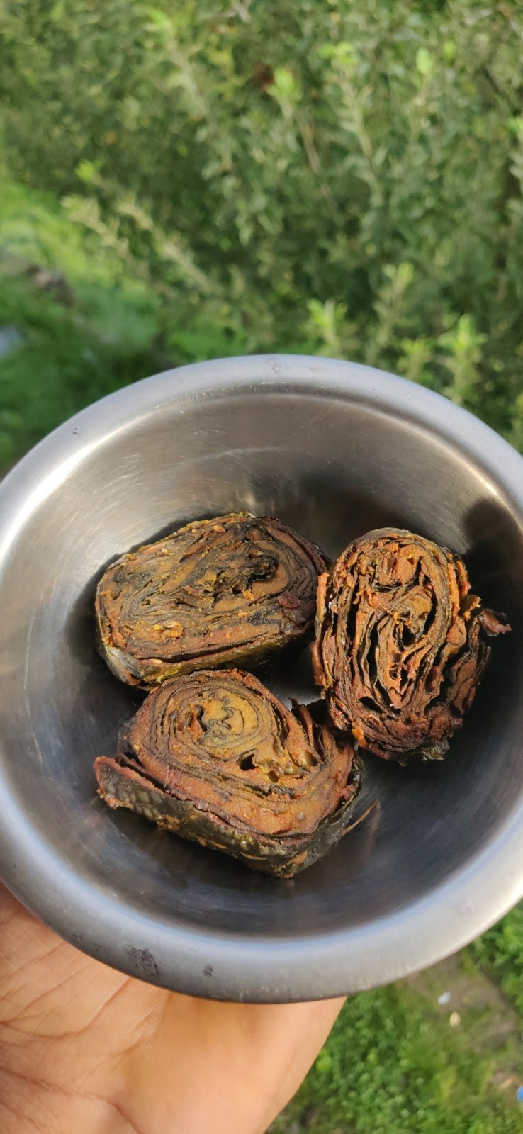 HPTDC Apple Orchards