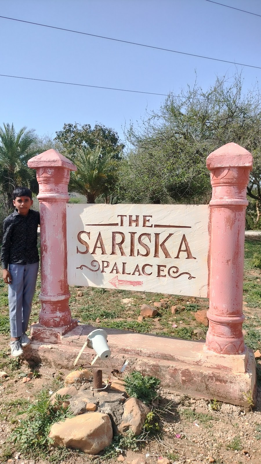 Sariska Palace