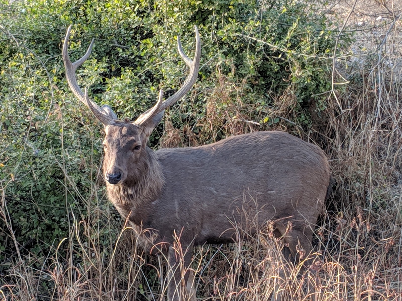 Sariska Wildlife Sanctuary