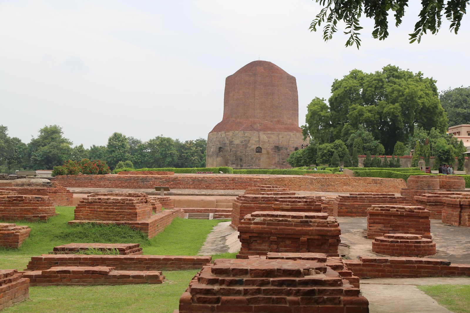 Dhamek Stupa