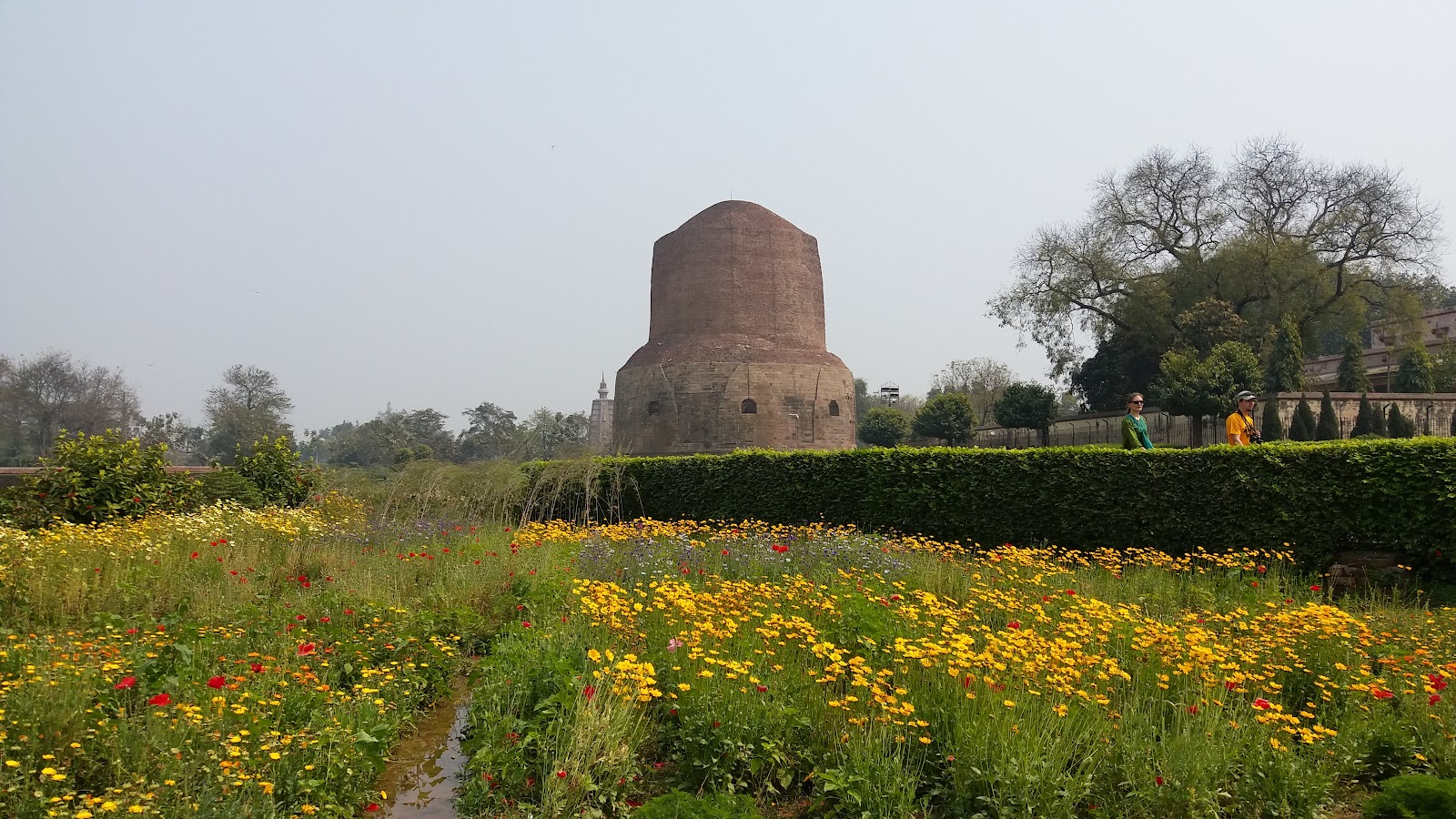 Dhamek Stupa