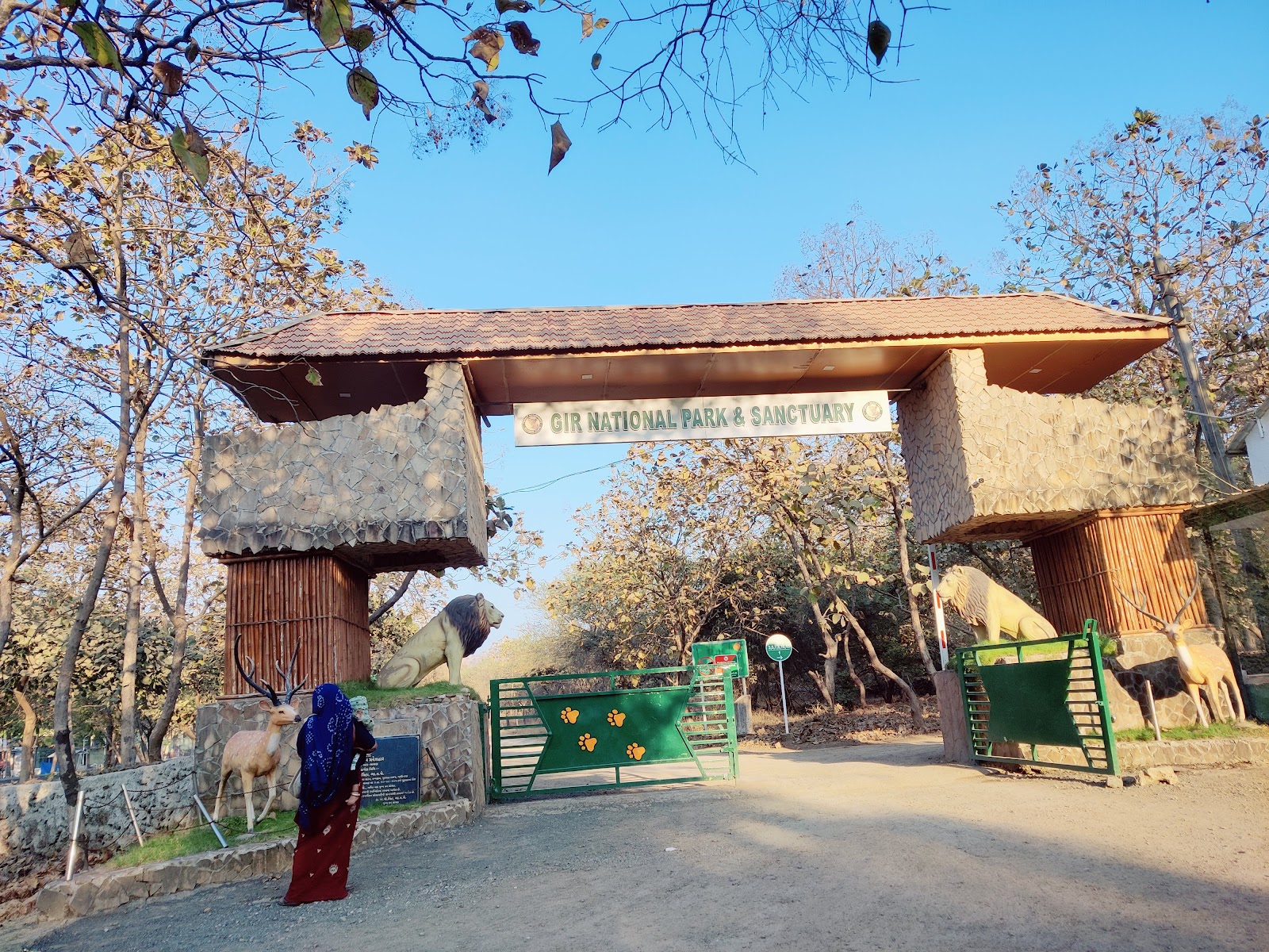 Gir National Park