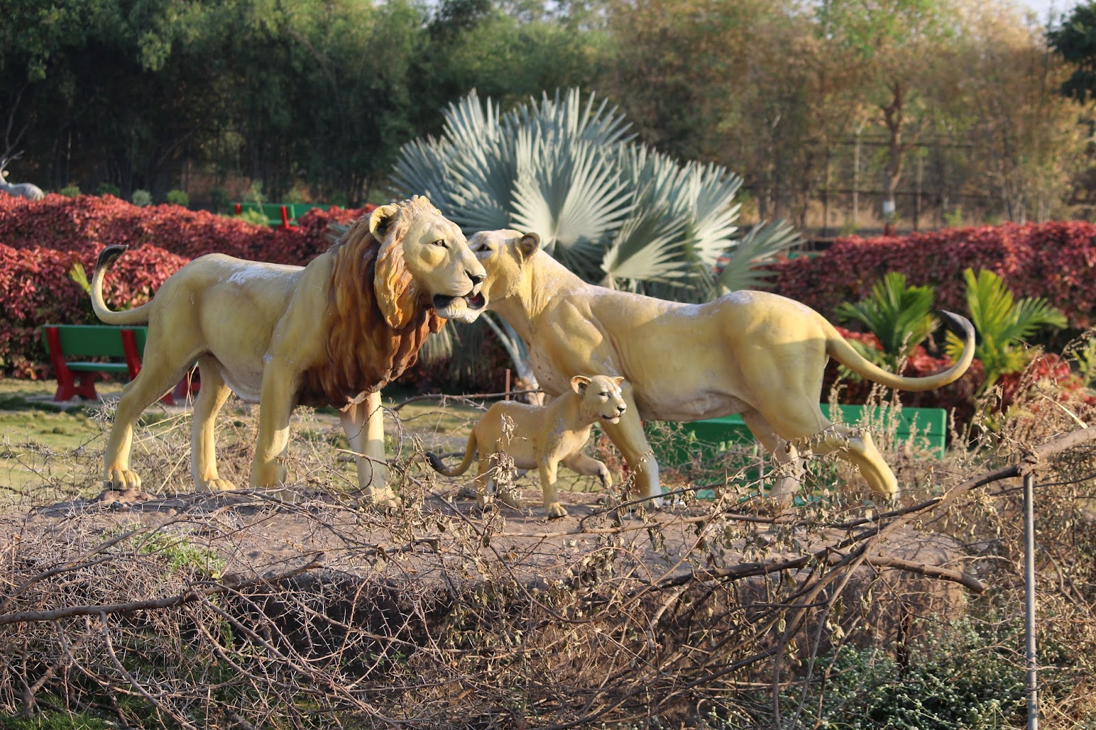 Gir Interpretation Zone