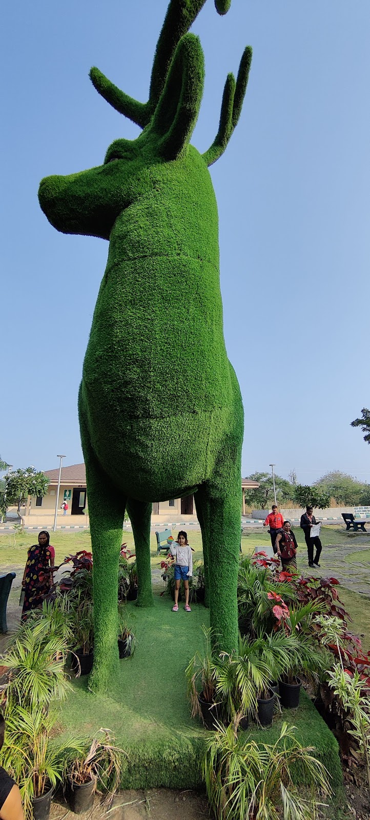 Gir Interpretation Zone