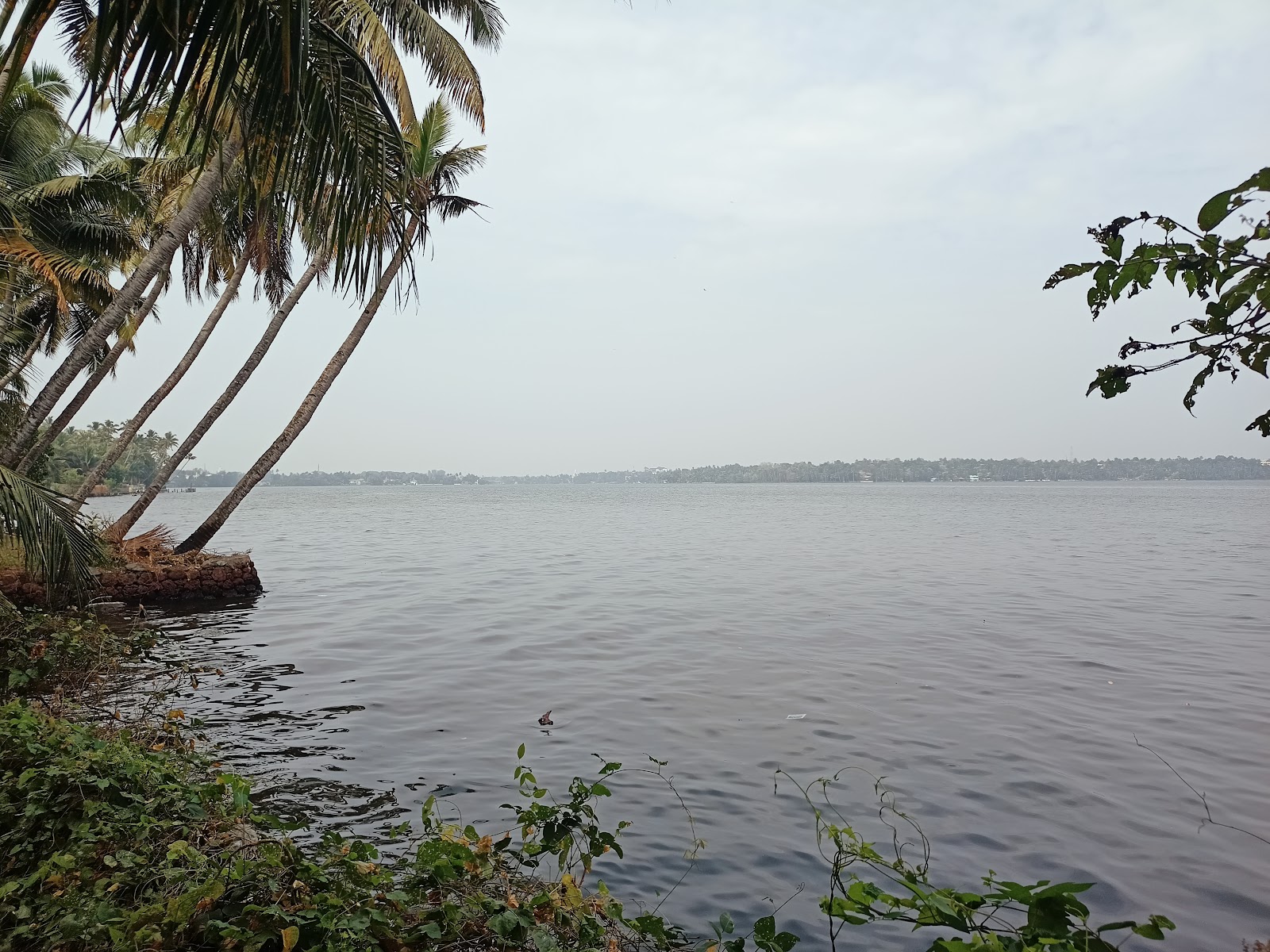 Ashtamudi Lake