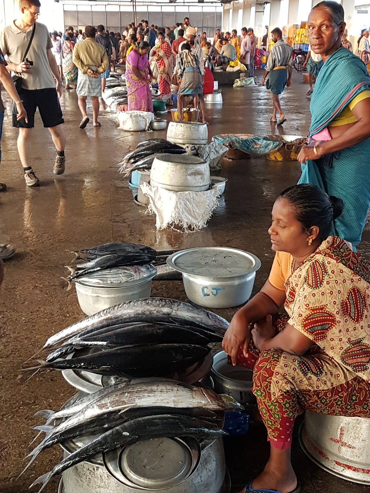 Neendakara Fishing Harbour