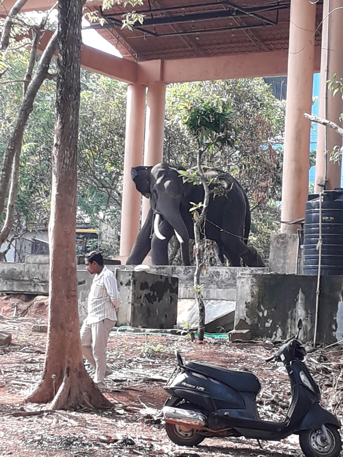 Sastha Temple Sasthamcotta