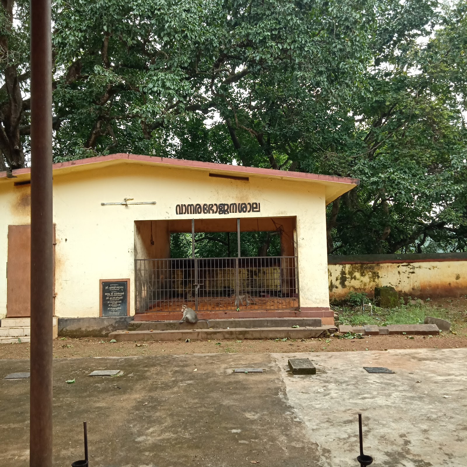 Sastha Temple Sasthamcotta