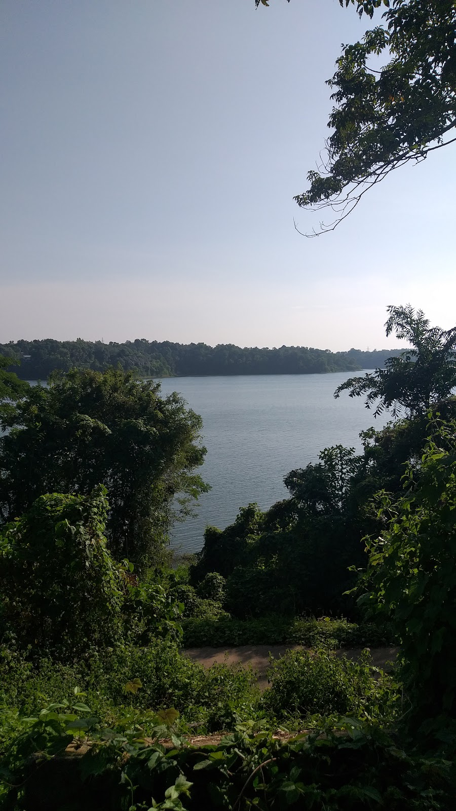 Sastha Temple Sasthamcotta