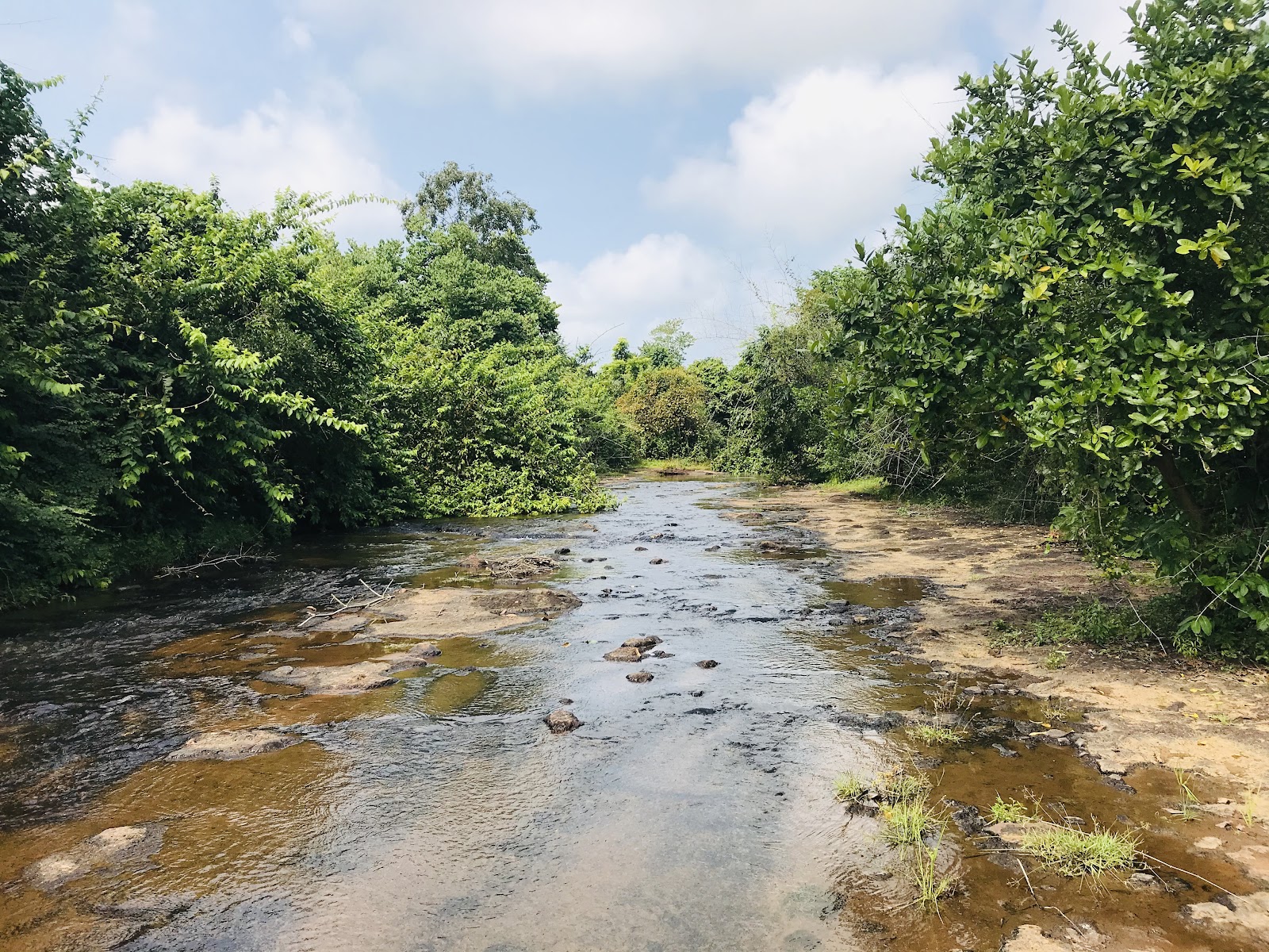 Chandaka-Dampada Wildlife Sanctuary