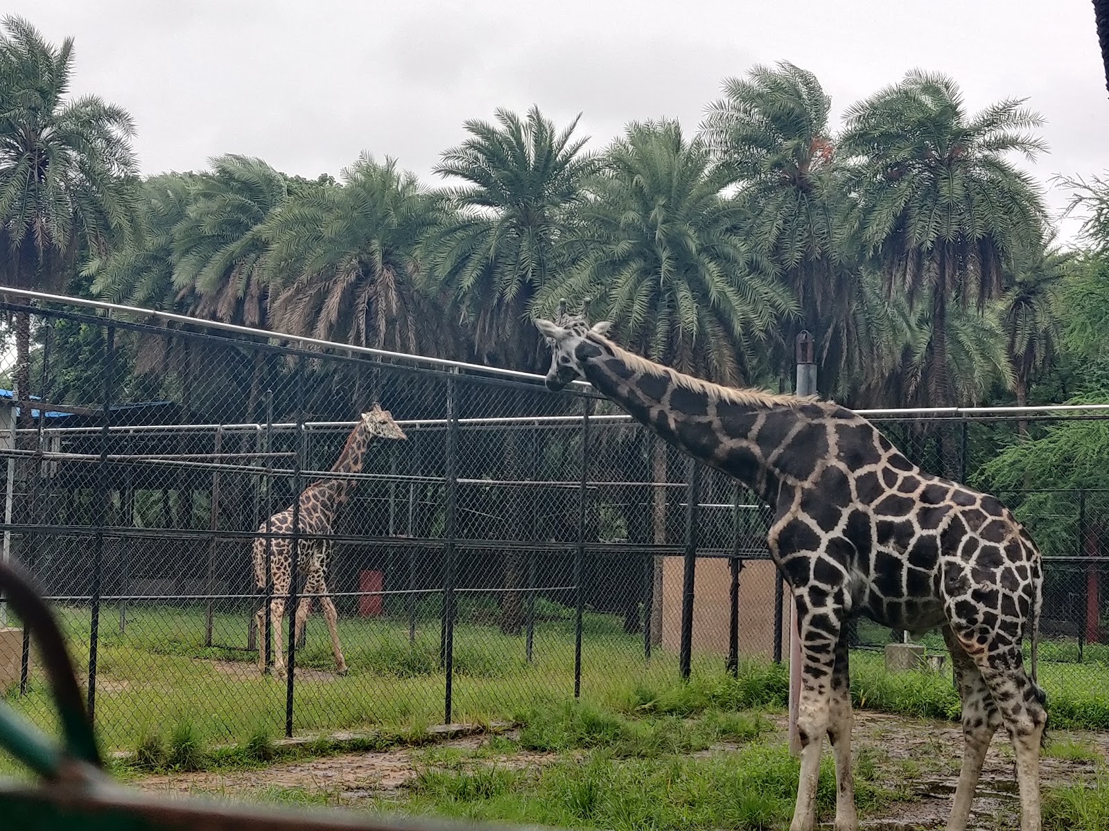 Nehru Zoological Park
