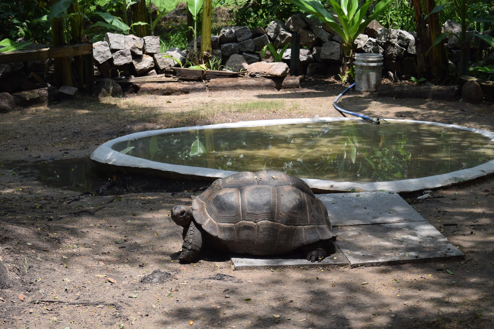 Nehru Zoological Park